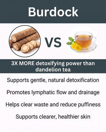 Burdock