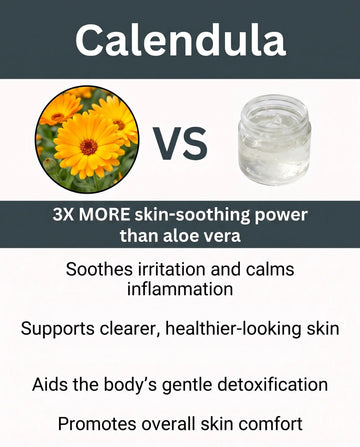 Calendula